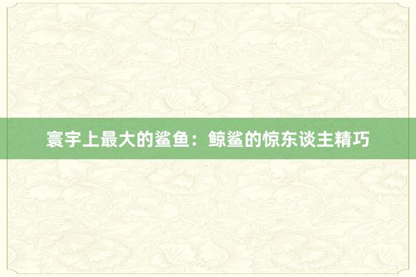 寰宇上最大的鲨鱼：鲸鲨的惊东谈主精巧
