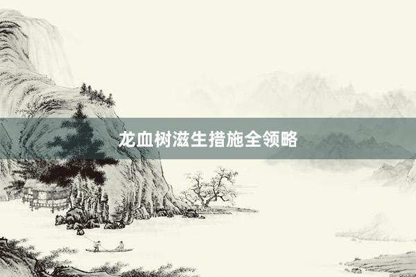 龙血树滋生措施全领略
