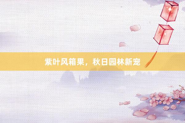 紫叶风箱果，秋日园林新宠