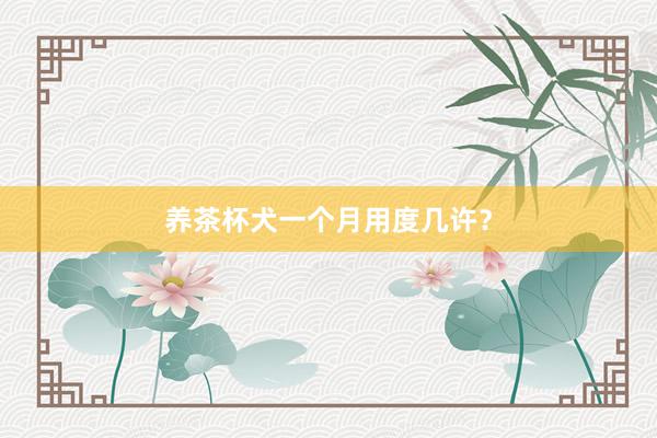 养茶杯犬一个月用度几许？