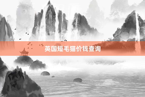 英国短毛猫价钱查询