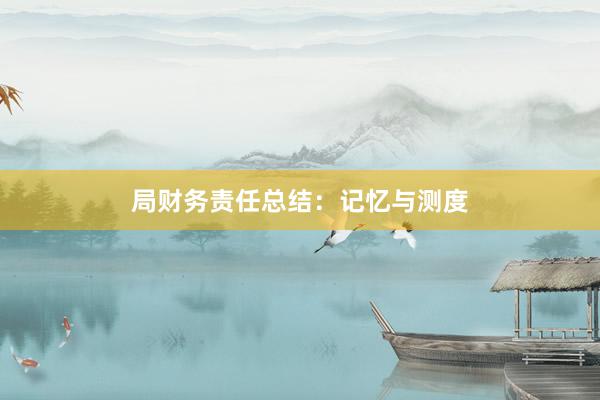 局财务责任总结：记忆与测度