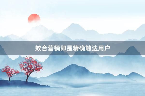 蚁合营销即是精确触达用户