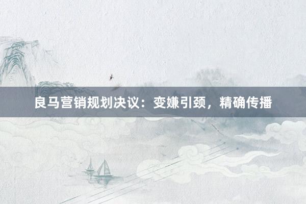 良马营销规划决议：变嫌引颈，精确传播